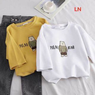 Áo phông gấu pola