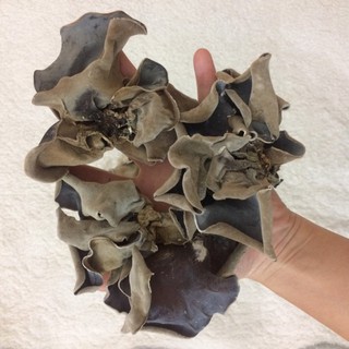 Mộc nhĩ khô hàng loại đặc biệt Hàng Việt