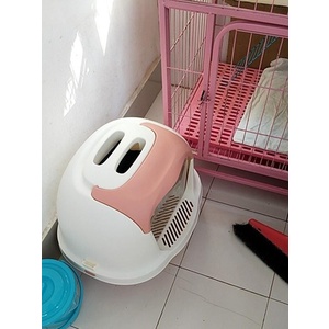 Nhà Vệ Sinh Size To Dòng Cao Cấp PAKEWAY Cho Mèo