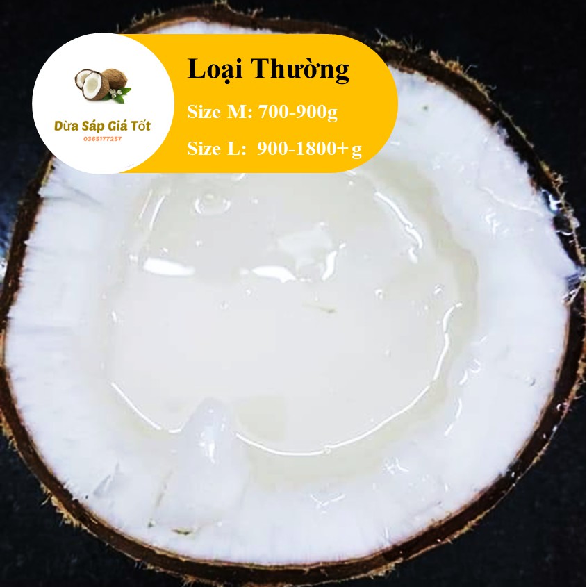 Dừa Sáp Trà Vinh 🌴 🌴  - Deal Hot Tháng 9 🔥 🔥 | BigBuy360 - bigbuy360.vn