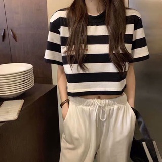 ☀️Áo Croptop Sọc Tay Lỡ