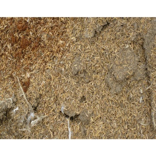 1KG PHÂN GÀ HỮU CƠ Ủ TRẤU TỰ HOAI MỤC.