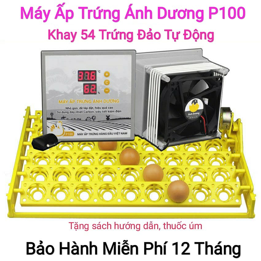 Máy Ấp Trứng Ánh Dương P100 + Khay Đảo Tự Động 54 Trứng Tặng Thuốc Úm Gà - tự lắp thùng xốp