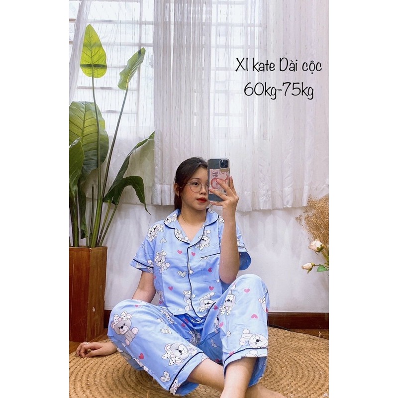 [Bigsize trên 65kg] Đồ bộ mặc nhà Pijama bigsize Kate Thái