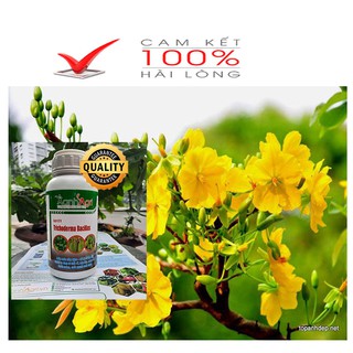 NẤM TRICHODERMA KHẮC TINH VÀNG LÁ THỐI RỄ