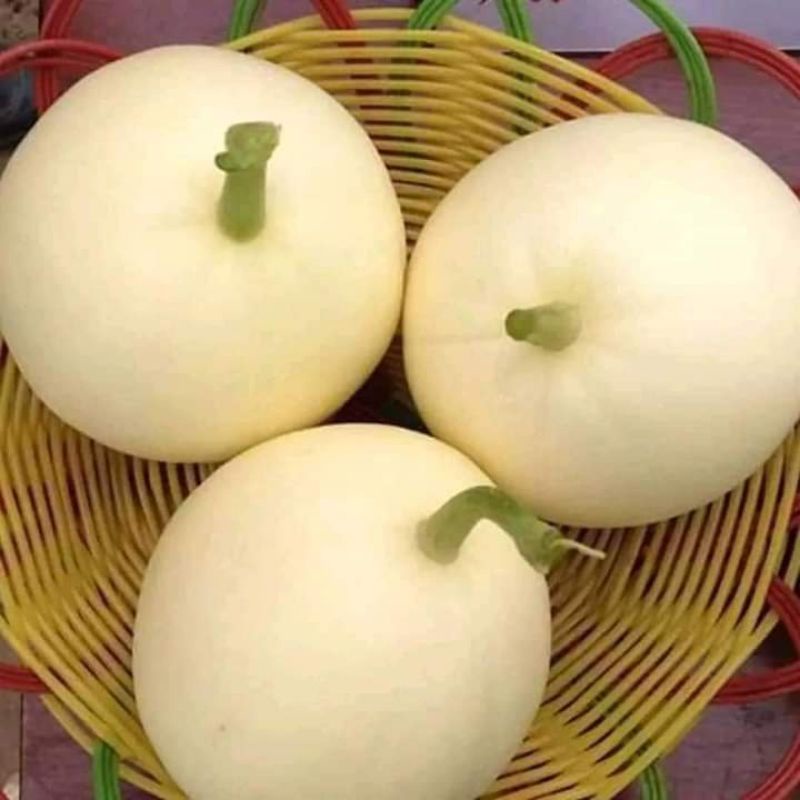 Hạt Giống Dưa Lê Trắng Siêu Ngọt,dễ trồng,năng xuất cao.gói 15 hạt f1 nhập khẩu nguyên gói Thái Lan 