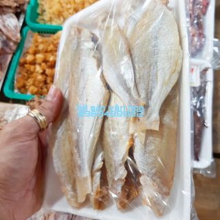 Cá đù 1 nắng loại ngon