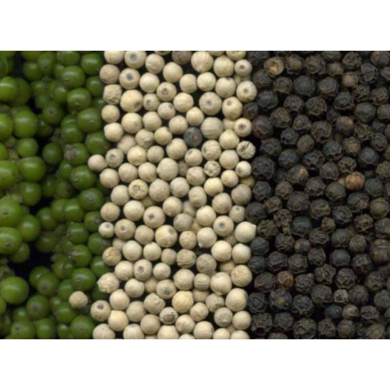 Hạt tiêu sọ / hạt tiêu đen 100g