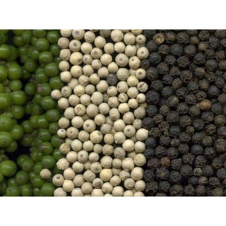 Hạt tiêu sọ / hạt tiêu đen 100g
