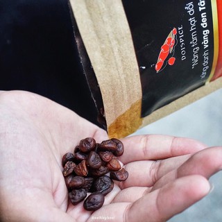 HẠT DỖI RỪNG TÂY BẮC ( TÚI 25G)