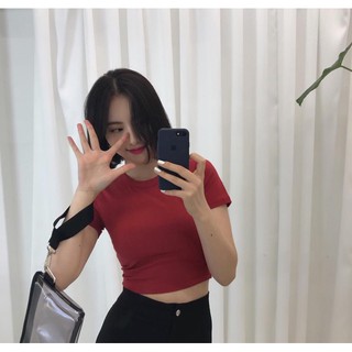 Áo thun crotop cộc tay siêu phẩm
