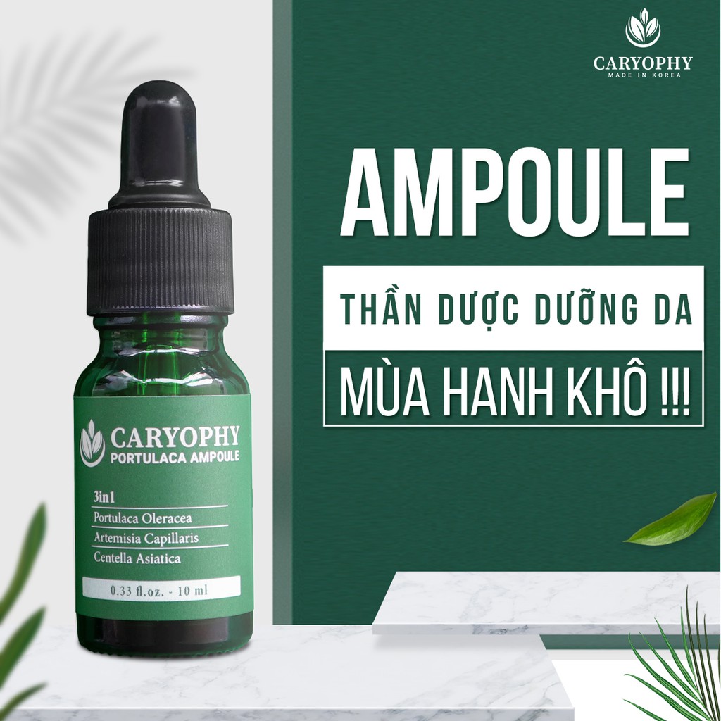 Serum Caryophy Portulaca Ampoule 10ml Hàn Quốc chính hãng - Tammy Store