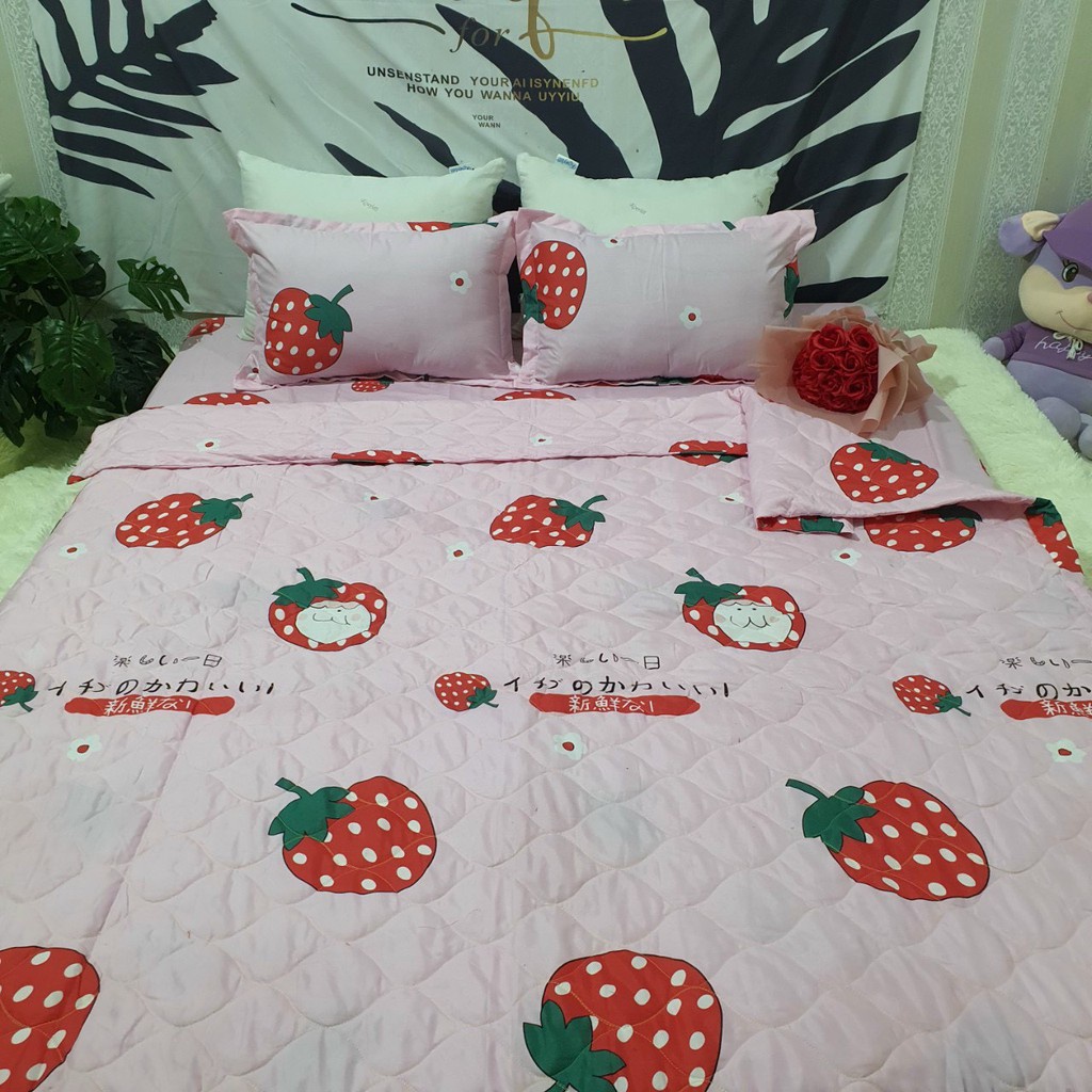 chăn hè cotton trần bông Emmibedding Store size 1m8x2m