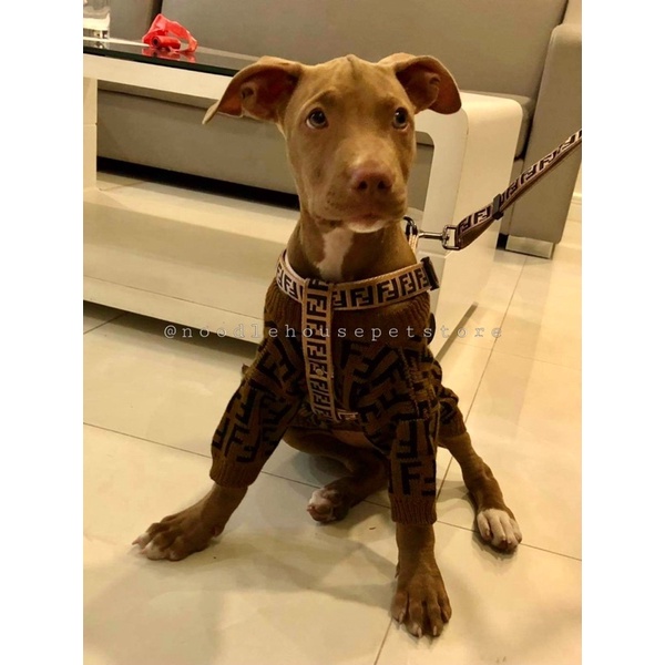 ĐAI NGỰC + DÂY DẮT FENDI dành cho chó mèo