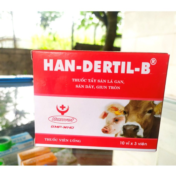 1 viên Han Dertil B Tẩy Sán Trâu Bò Lợn Dê Cừu