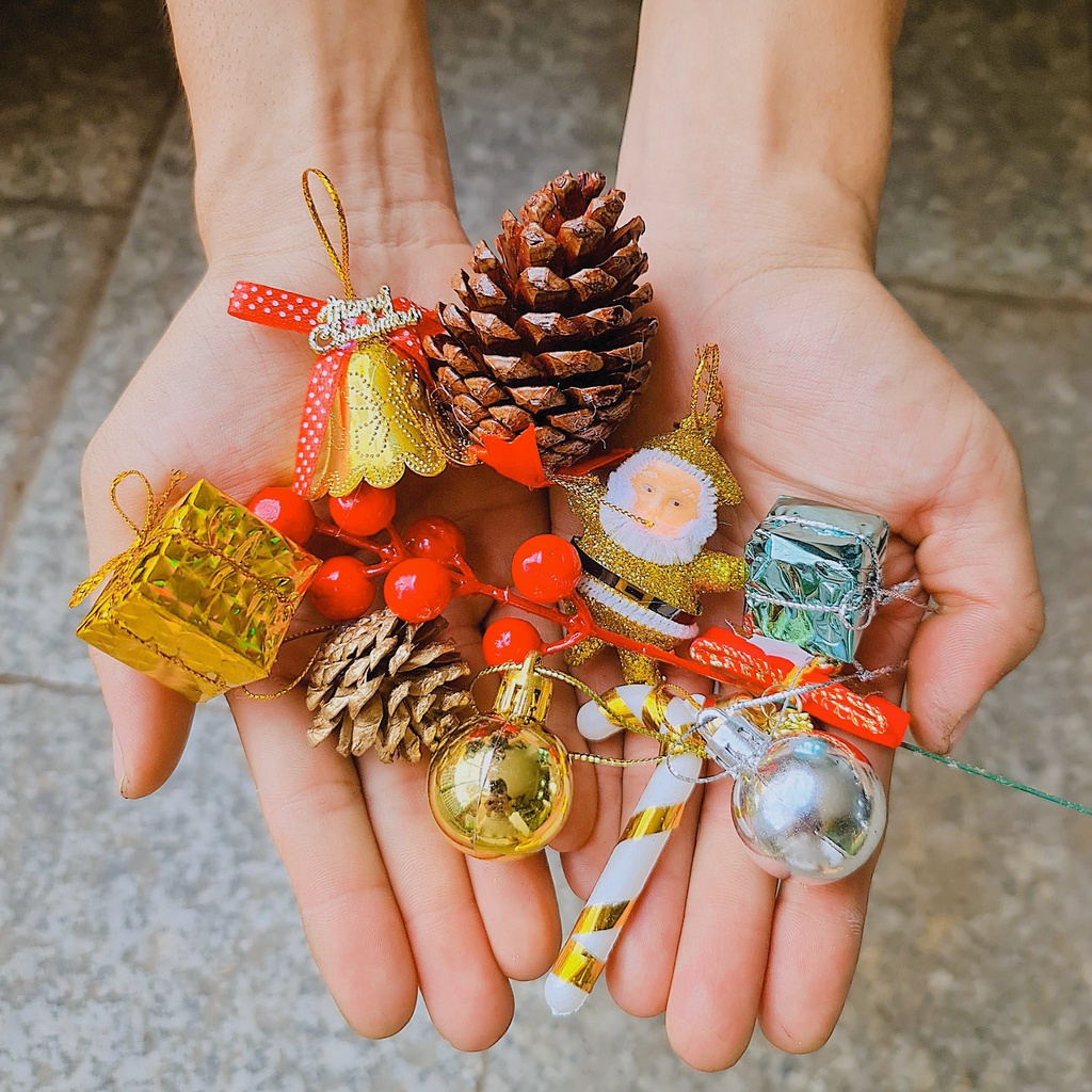 CÂY SƠN TÙNG ,, cây Noel mini, cây Noel thật để bàn, cây Giáng sinh