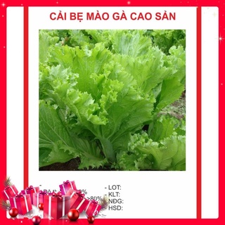 Hạt giống cải mào gà 10gr khuyến mại trong 1 ngày