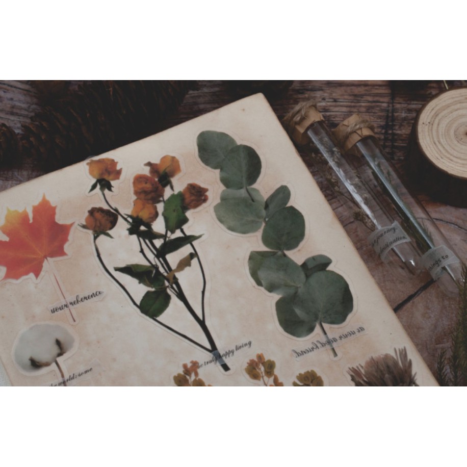 Bộ sticker hoa lá vintage hoài cổ trang trí scrapbook, sổ tay planner,...
