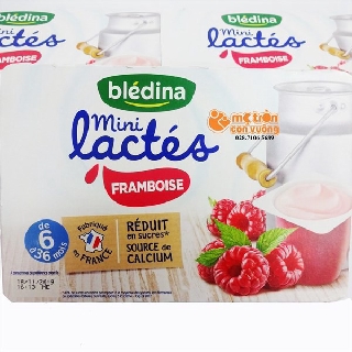 Combo 1 thùng (8 vỉ) sữa chua Bledina mini - đủ vị
