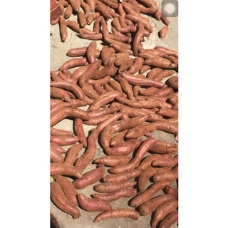 Combo 3 kg Khoai lang mật Đà Lạt