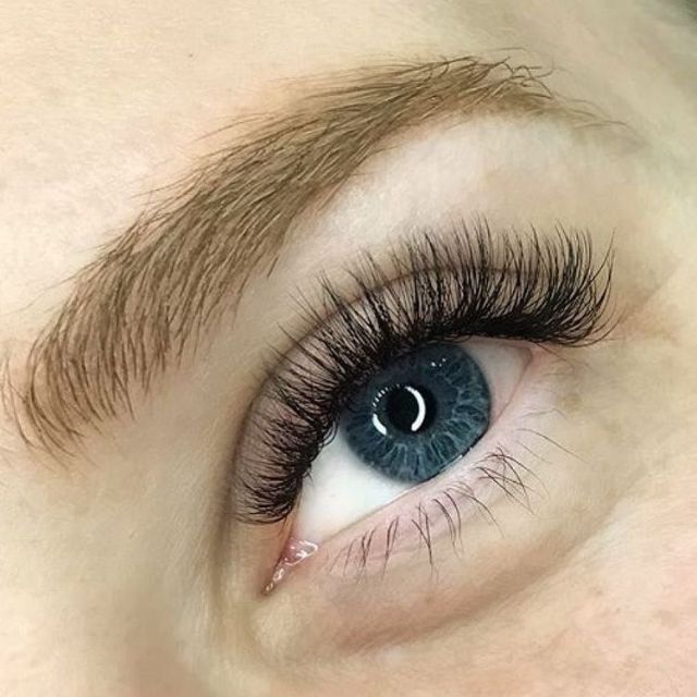 Mi Volum Chuyên C/0.05