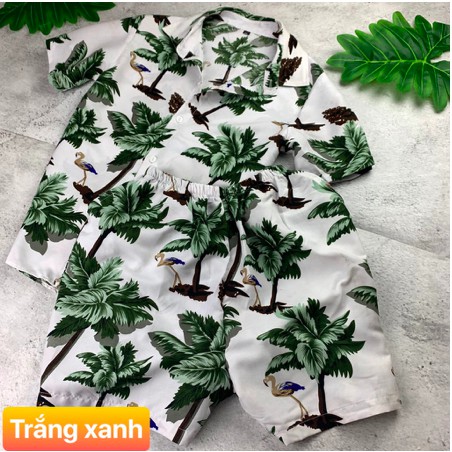 [SHOP UY TÍN] Bộ Đồ Đi Biển Cho Cặp Đôi, Đội Nhóm, Công Ty, Gia Đình, Bộ Đi Biển Đẹp mẫu mới 2020