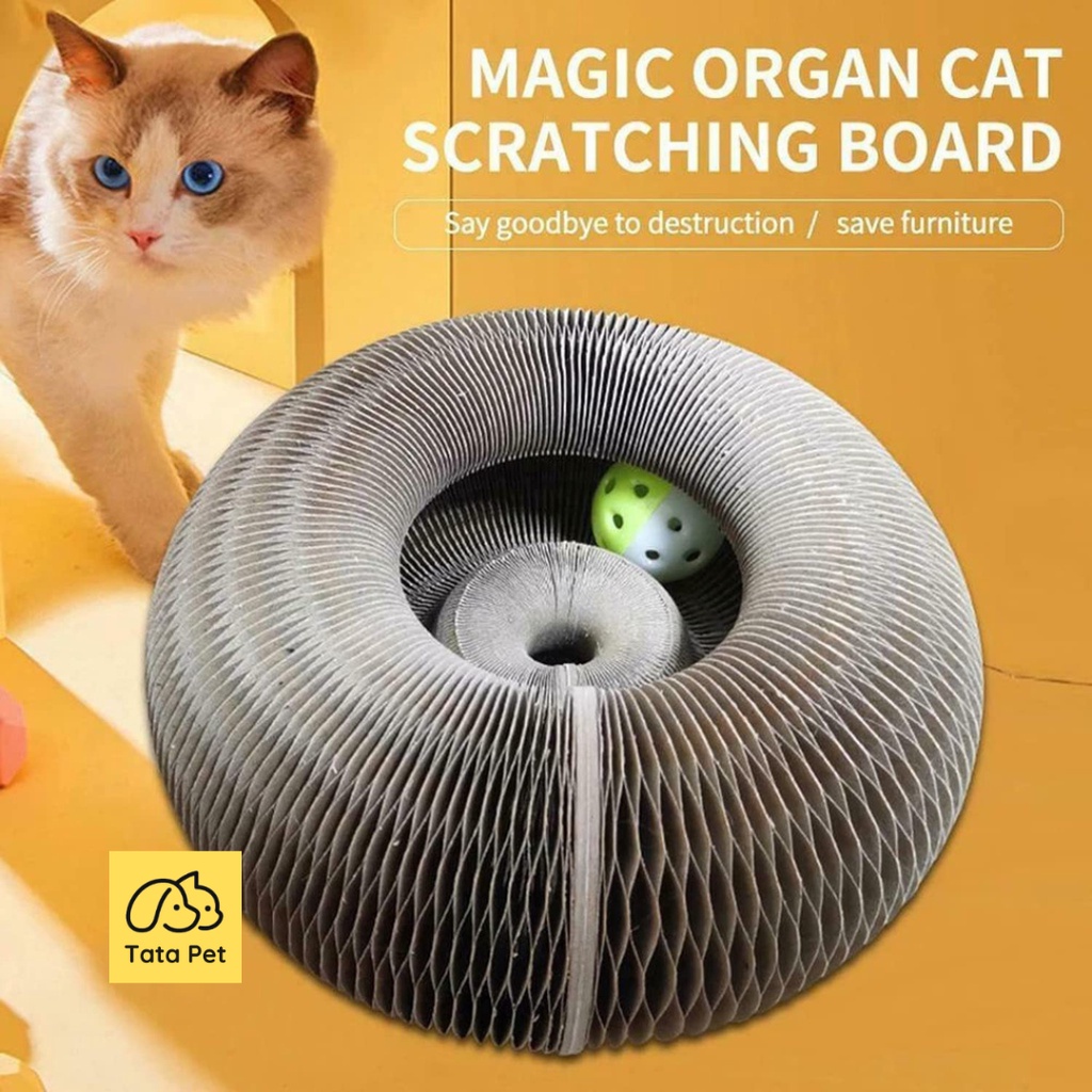 Đồ chơi bàn cào cào móng ma thuật xoay tròn cho mèo, Tặng kèm bóng