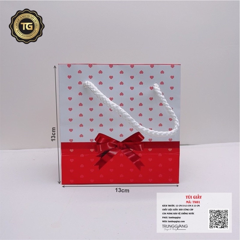 100 túi giấy TN01