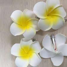 combo 200 kẹp tóc hoa đại 7cm