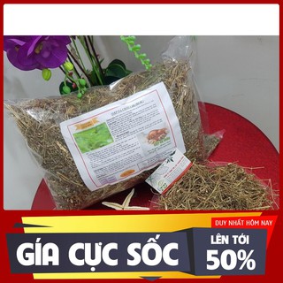 Cây diệp hạ châu khô 500gr - hàng loại 1 - dược liệu thanh bình