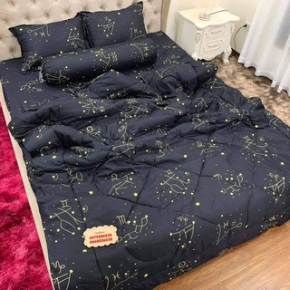 [GIÁ SỐC] Trọn Bộ Chăn Phao 5 Món Ga Gối Poly Thương Hiệu Chăn Bông Như Hình [Loại Bông Dày] ( được chọn mẫu)