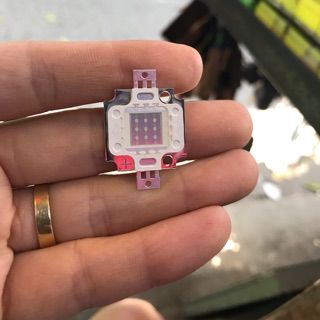 Nhân pha led 10w 12v mầu xanh dương 