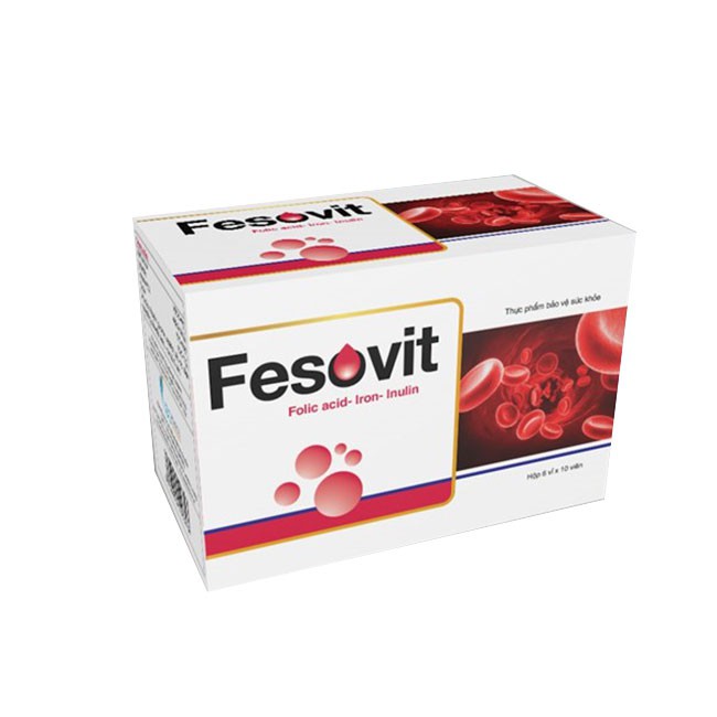 Fesovit – Hỗ trợ bổ sung sắt, ngăn ngừa thiếu máu cho bà bầu và người thiếu máu (60 viên)