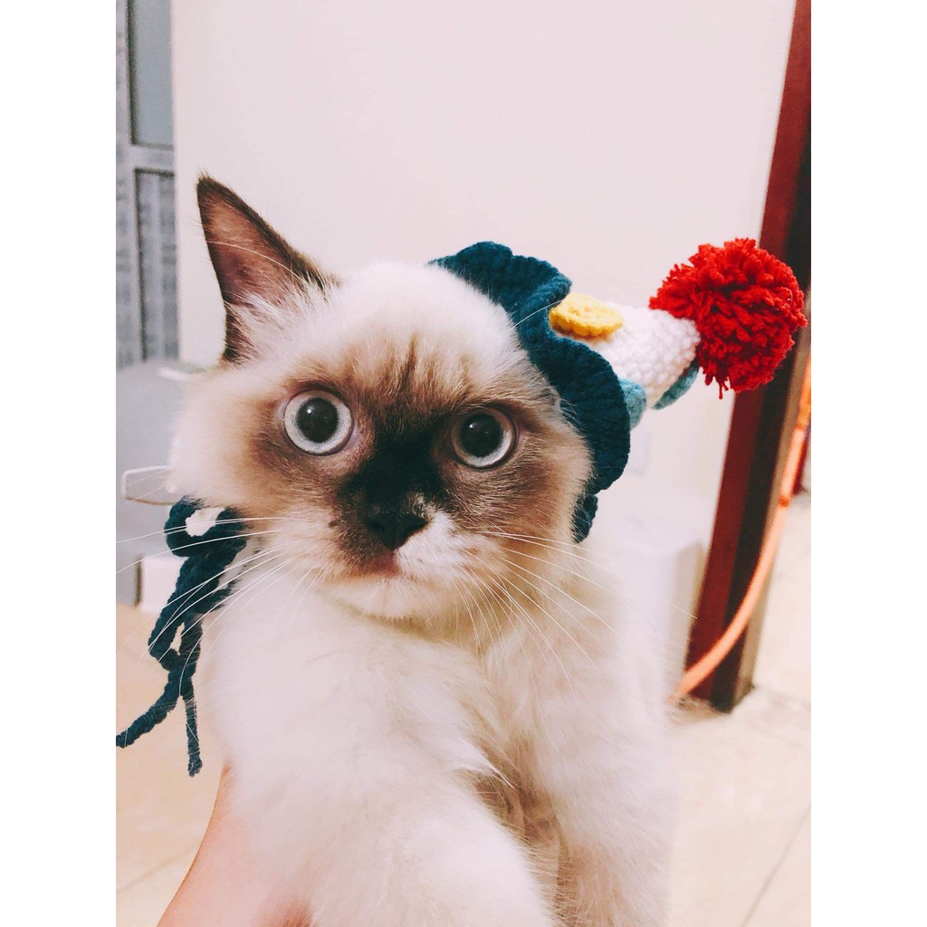 Mũ Len Thủ Công Hình Nón Cho Thú Cưng (Móc theo yêu cầu) - LỘC Homeis