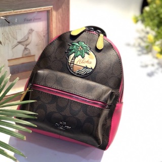 🆘RẺ VÔ ĐỊCH🆘Balo Coach mini
