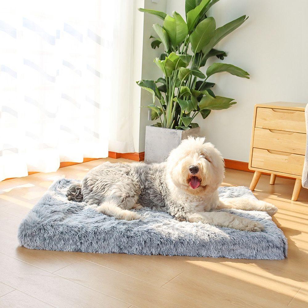 Giường Ngủ BằNg XốP Siêu DàY DàNh Cho Thú Cưng