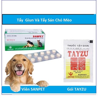 giun hanvet chó mèo thú cưng