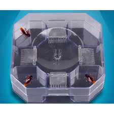 dụng cụ bắt gián[Giảm giá sốc]