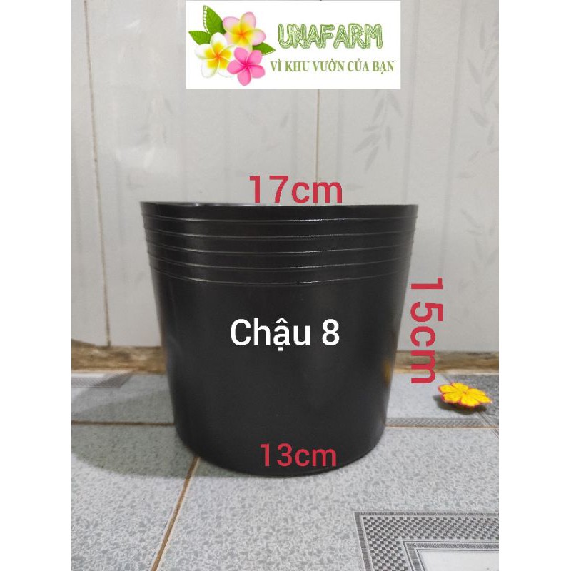 Chậu nhựa đen mềm size C8