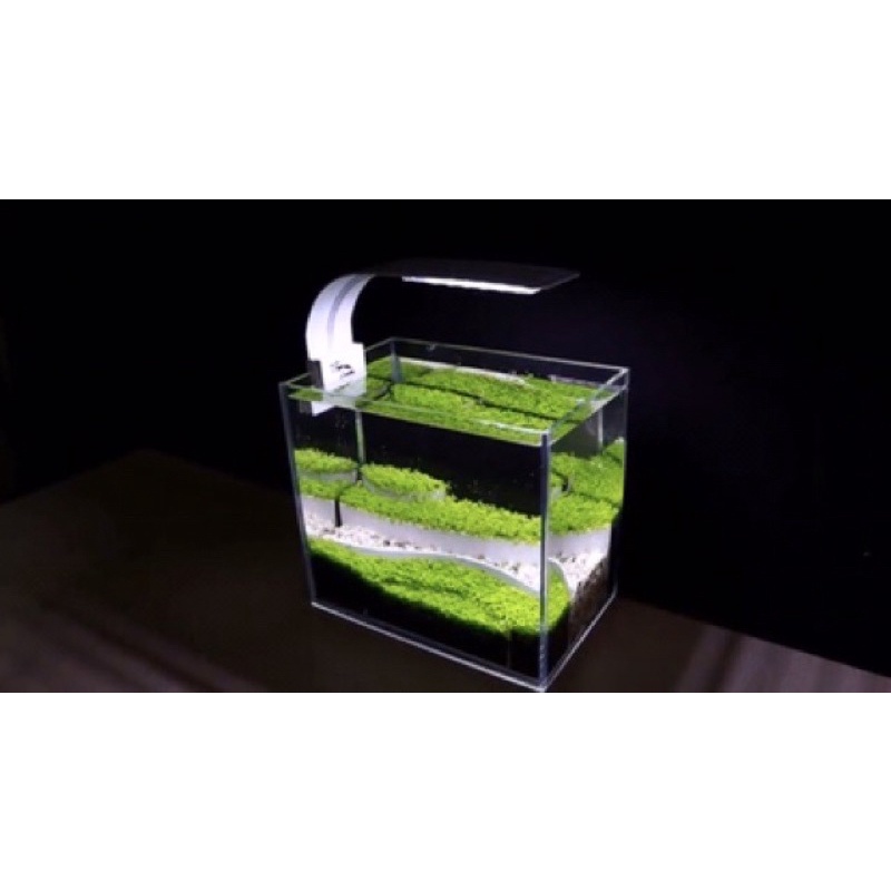 Đèn LED màu trắng kẹp thành hồ cá thủy sinh size 30-40cm M-280 | m280