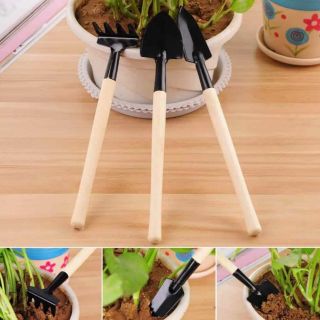 Bộ 3 dụng cụ làm vườn mini