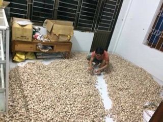 Tỏi cô natural(gói 500g)