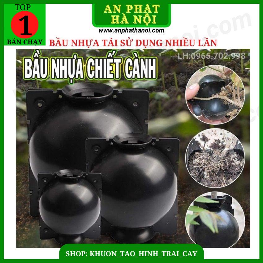 1 Bầu Chiết cành loại đẹp, dụng cụ chiết cành chuyên dụng, hộp ươm ghép cành