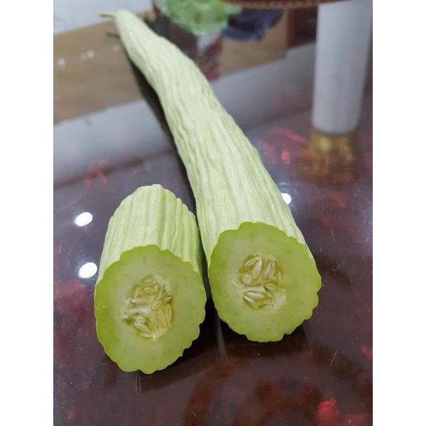 💥 Hạt giống Dưa Chuột Rắn Mỹ  siêu dài 🍎 Dòn Ngon💥 độc lạ rất dễ trồng