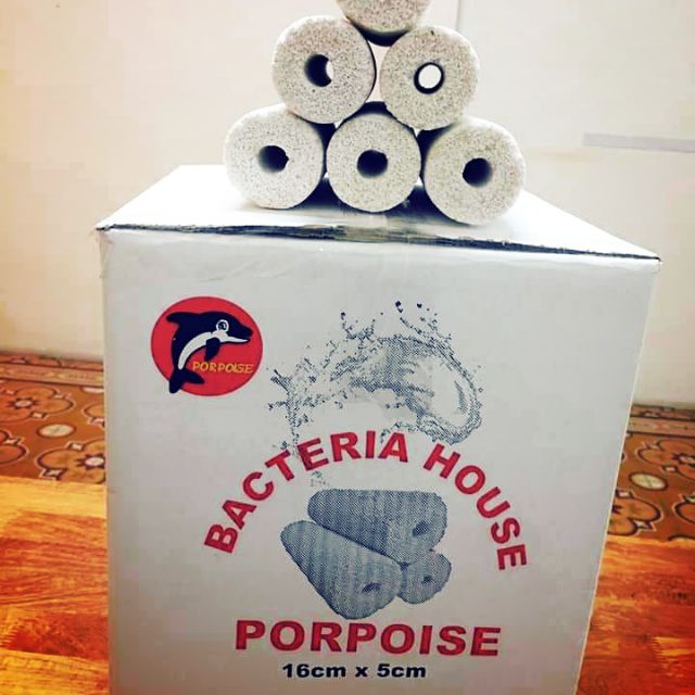 Sứ Thanh Chất Lượng Cao Bacteria House Dành Cho Hồ Koi,Cá Vàng,cá rồng