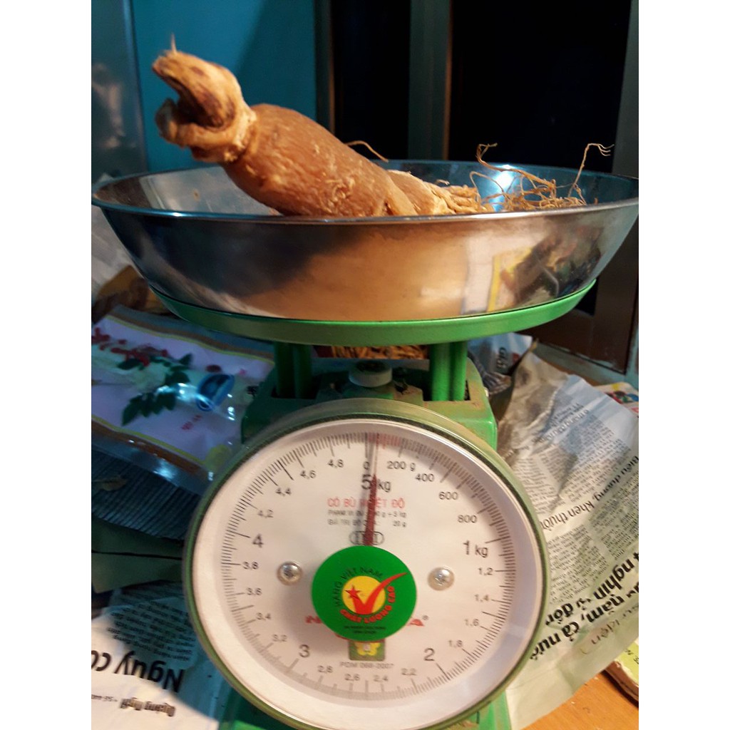 [FREESHIP 99K TOÀN QUỐC]NHÂN SÂM LOẠI 1 - 100Gr MÓN QUÀ CHO SỨC KHỎE | BigBuy360 - bigbuy360.vn