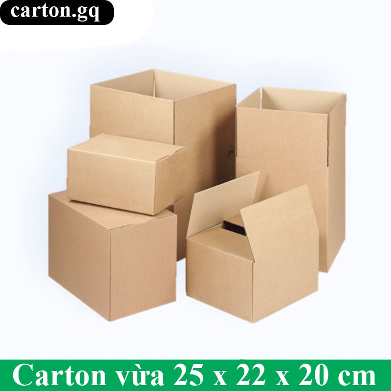 Carton vừa 25 x 22 x 20 cm