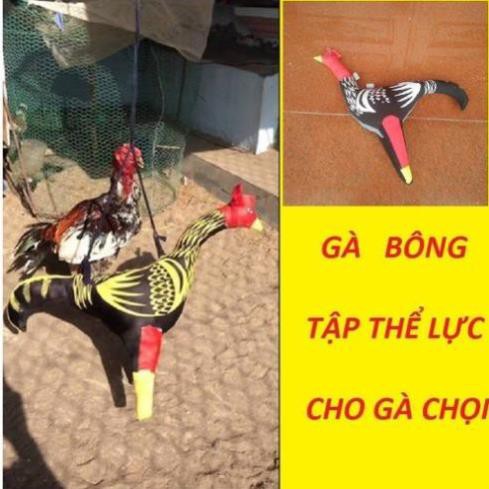 Hanpet.GV- Gà vải tập lực cho gà chọi (loại tương đương gà thật 2kg)