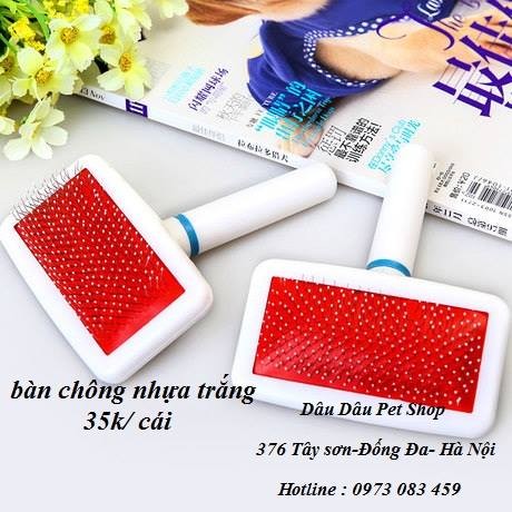 [ Bán sỉ ] LƯỢC CHẢI LÔNG CHÓ MÈO BÀN CHÔNG NHỰA TRẮNG