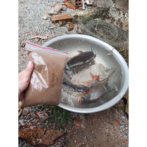 CÁM TANH TRỘN SẴN CHUYÊN TRỊ PHI,TRÊ,TRA,CHIM,DIÊU HỒNG,...